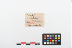 Etiketten zu Glasringperle (NHMW-PRAE-024199)